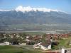 Swiss Alpes