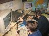 goga i marko u wpx ssb 2005