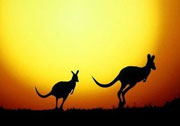 Radioklub Pazin na Radio Australiji